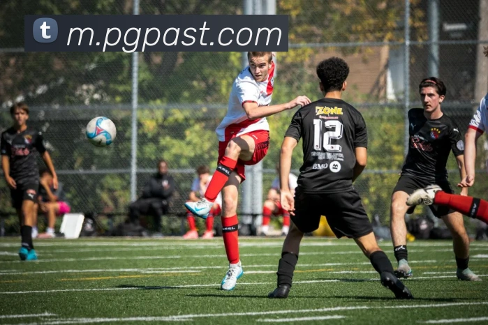 pg电子平台生态图